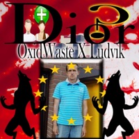 KRVAVÝ DIOR (feat. oxidwaste & Plastic Heart) - Single - 300Percs