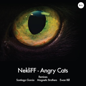 Angry Cats - EP
