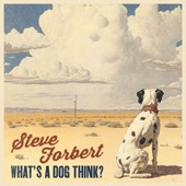 Steve Forbert - What's A Dog Think?