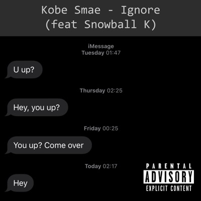 Ignore (feat. Snowball K) - Single