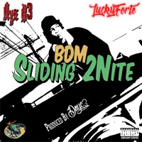 Sliding 2nite (feat. Lucky Forte & AyB3) - Single - Dnyc3