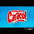 Amor Salvaje
