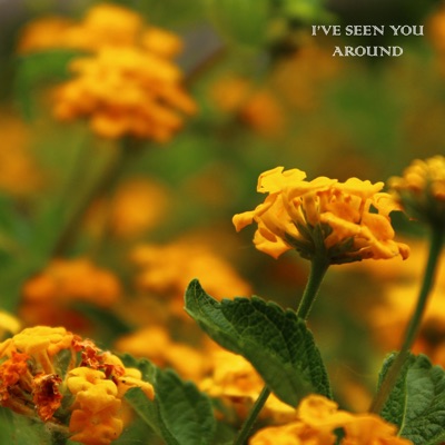 I've Seen You Around (feat. Mind of AO) - Single