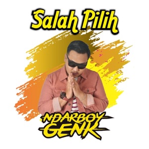 Salah Pilih Album Art