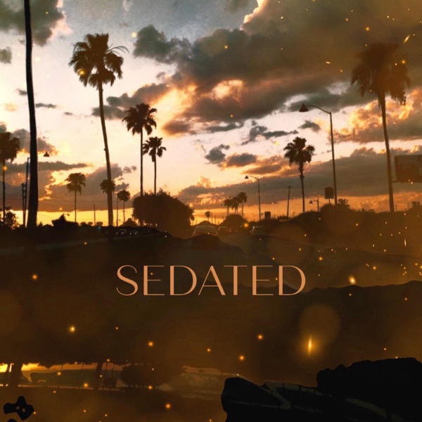 Sedated (feat. Trevo)