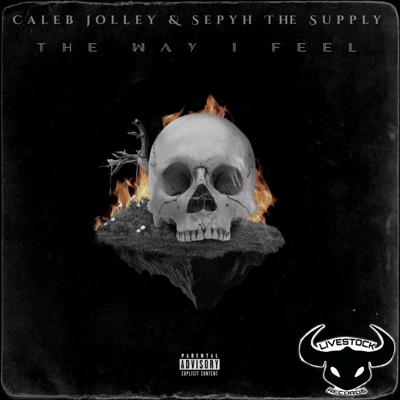 The Way I Feel (feat. Caleb Jolley) - Single