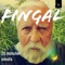 Tangerine Dream - Fingal lyrics
