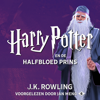 Harry Potter en de Halfbloed Prins - J.K. Rowling