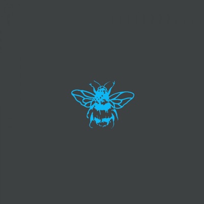 Don't Bring Me Down - Single