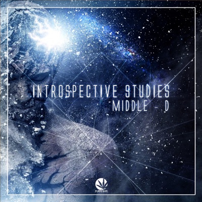 Introspective Studies - Single