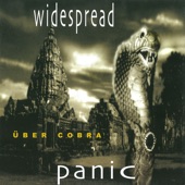 Widespread Panic - Papa Johnny Road