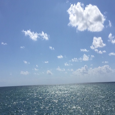 Cumondaback (feat. Ukoz, KoMa & Vespiary) - Single