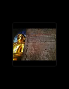 Hör dir T-toe an, schau dir Musikvideos an, lies die Biografie, finde Tourdaten und mehr!