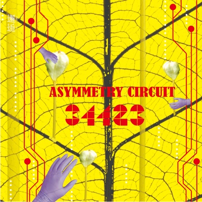 Asymmetry Circuit - Single