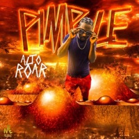 Pimple - Single - Alto Roar