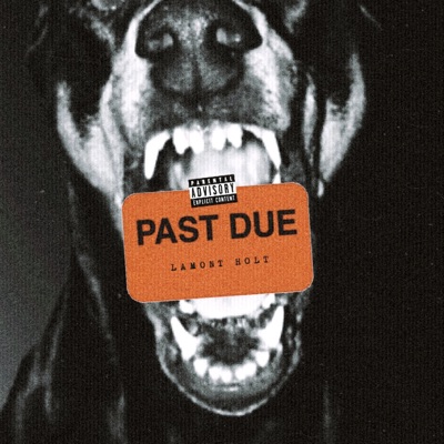 Past Due - Single