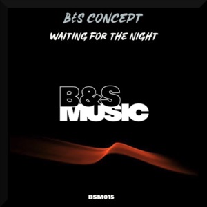 Waiting For the Night - Single