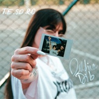 Tesoro - Single - Delfina Dib