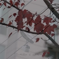 Our Mend (feat. Whitfield) - Single - jobin