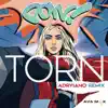 Torn (Adryiano Remix)