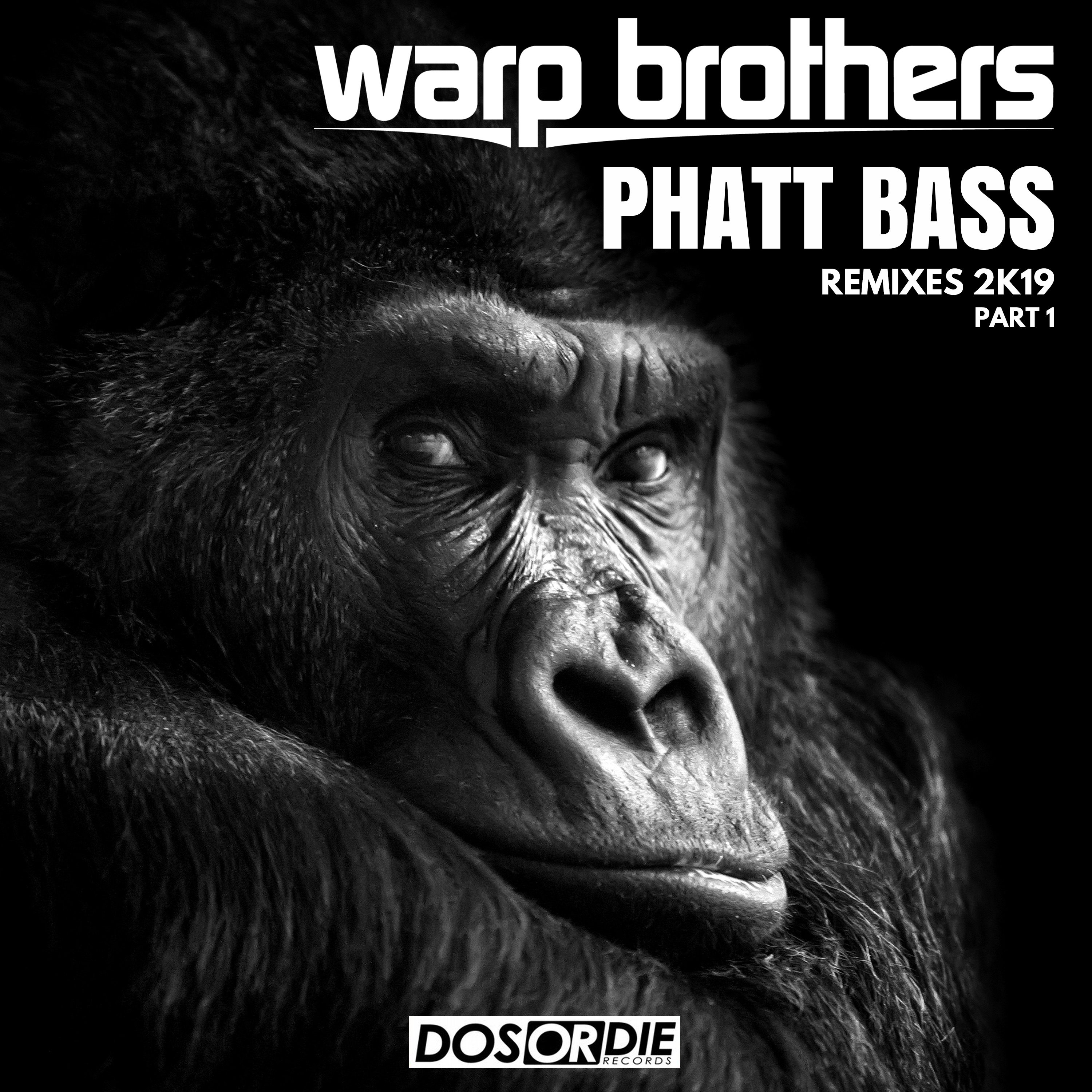 Phatt Bass (Remixes, Pt. 1) - EP