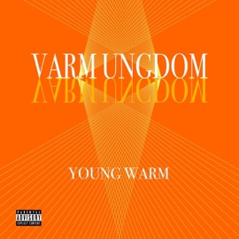 Dum Bank (feat. Mr. THE) Young Warm