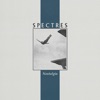 Spectres