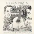 Mestre