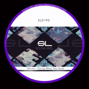 Doing What You Said - Single