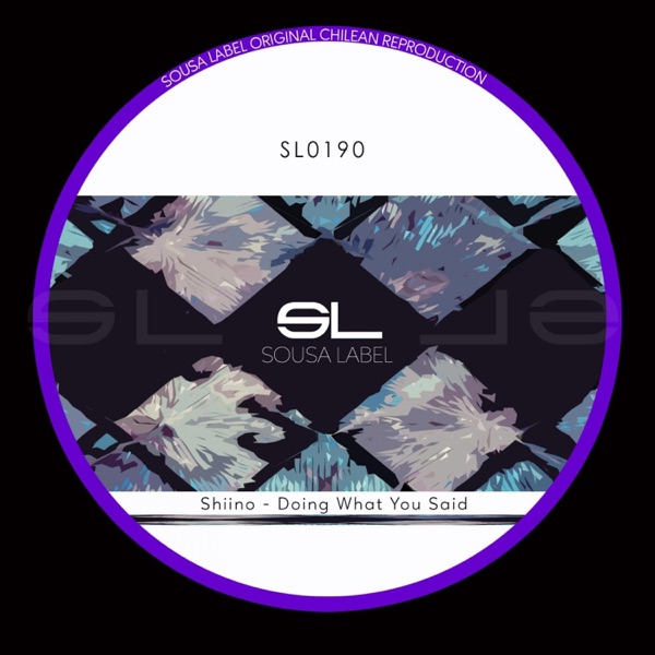 Doing What You Said - Single