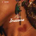Inauma