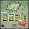 Jackpot (feat. Gwola Gang Telle) - Terror 2x lyrics