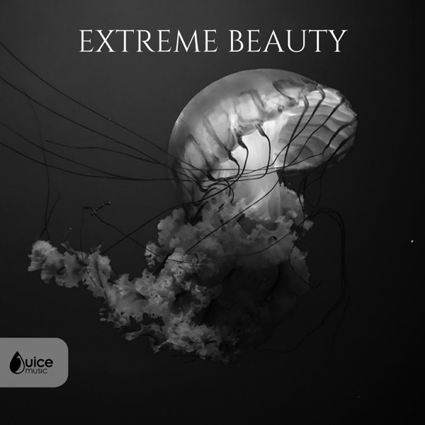 Extreme Beauty