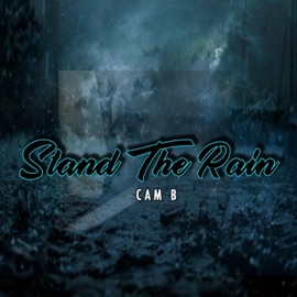Stand the Rain Cam B
