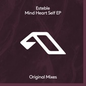 Mind Heart Self (Extended Mix) artwork