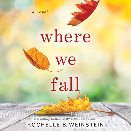 Where We Fall: A Novel (Unabridged) cover