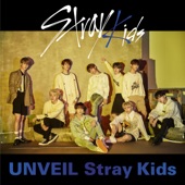 UNVEIL Stray Kids artwork