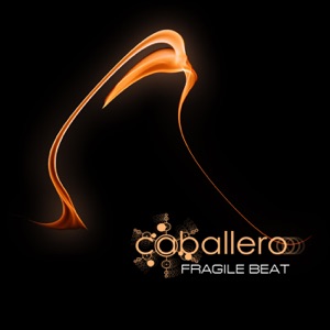Fragile Beat - Single