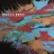 Mother Earth - Dennis Hawk & Dave Schoepke lyrics