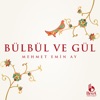 Bülbül ve Gül