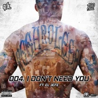 I Don't Need You (feat. Jefe Rey) - Single - Q.K