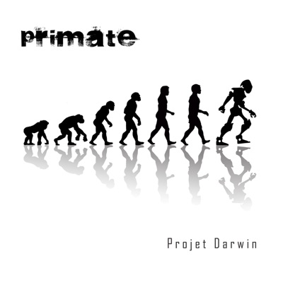 Projet Darwin
