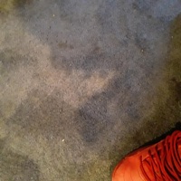 Whole Lotta Money - Single - 3mdunt