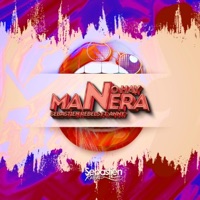No Hay Manera (feat. Anny) - Single - Sebastien Rebels