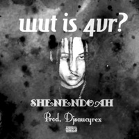 Wut Is 4vr? - Single - Shenendoah