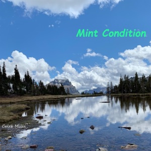 Mint Condition - Single