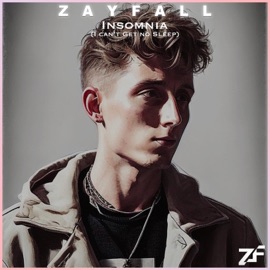 Insomnia (I can't Get no Sleep) Zayfall