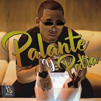 Palante y Pa Tras - Single - El Lobadboy