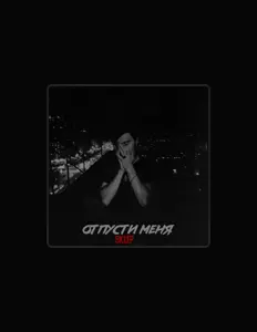 Sklepを聴いたり、ミュージックビデオを鑑賞したり、経歴やツアー日程などを確認したりしましょう！