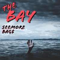 The Bay (feat. Bogard Scott Free) - Single - Seemore Bag$